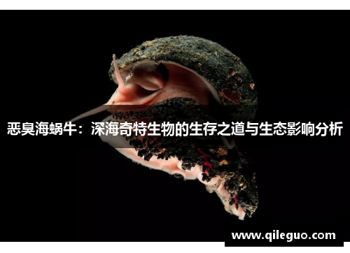 恶臭海蜗牛：深海奇特生物的生存之道与生态影响分析
